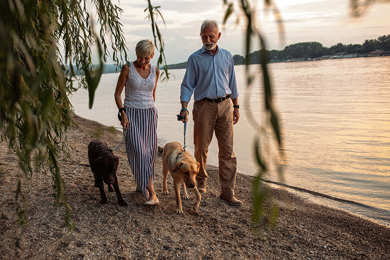 retired couple walking their dogs